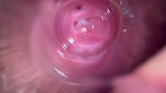 Intense Close-Up Of A Brunette'S Wet And Creamy Pussy