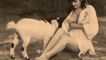 Classic Taboo: Pussy And Puppy Play In A Retro Setting